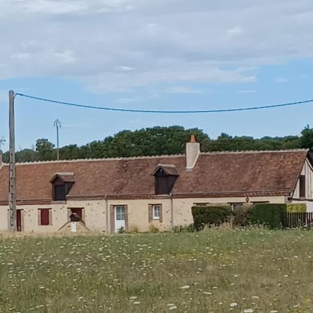 Gites Les Terriers Saint-Jean-Froidmentel Kültér fotó
